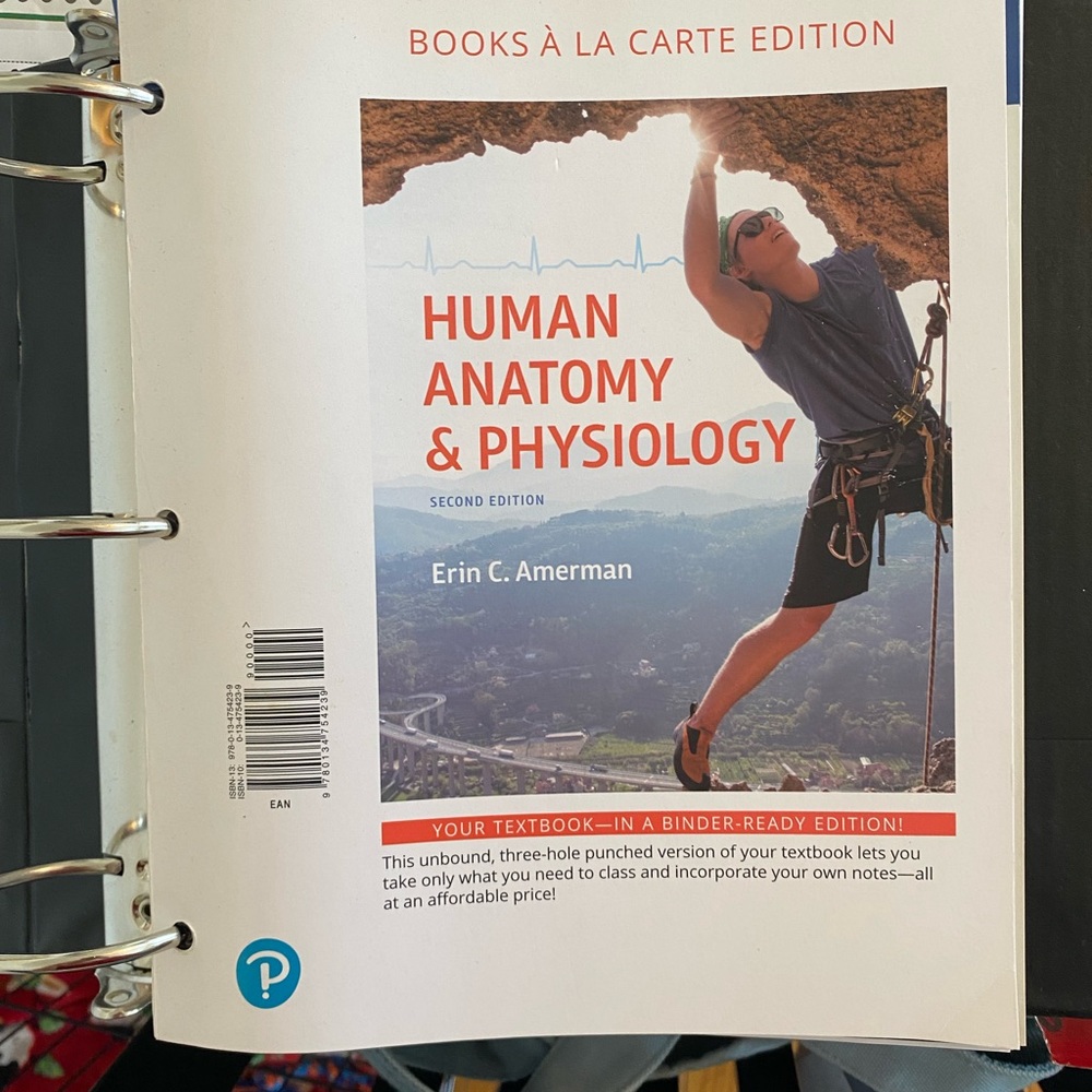 Pearson Human anatomy and physiology